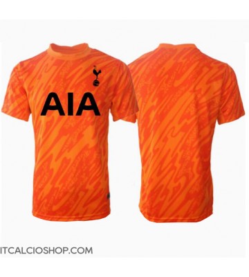 Tottenham Hotspur Portiere Seconda Maglia 2024-25 Manica Corta